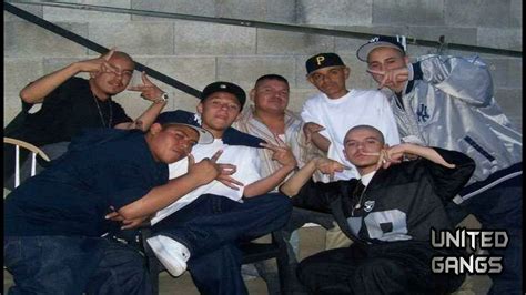White gangs in California fall under a peckerwood umbrella or a skinhead umbrella due to the state's prison politics playing a major part in how white gangs function. A peckerwood (or wood) is what a white inmate is known as in prison. ... Stoner gangs were popular in the 70s and 80s and predated punk gangs. Some examples are the Paramount .... 