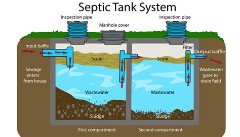 Garbage disposal for septic system. If you have a septic tank, you know it’s part of one of the most important systems in your whole home. A home with a typical sewage system has pipes leading away from the home that... 