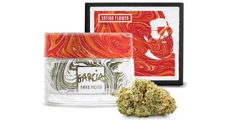 Garcia hand picked. Fun fact, Garcia is also grown by strane "holistic farms" and they have always been very consistent when it comes to flower, Garcia is basically stranes handpicked premium and very limited flower, super fire. Very good. Nice relaxing. But not great for the price. 