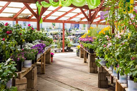 Garden Center