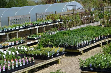 Garden Centres near Bath Reviews - Yell