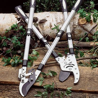 Garden Clean Up Durable Tools Garrett Wade