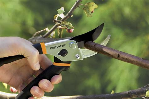 2024 Garden Cutting Tools: A Passion A-marketplaceplus.shop