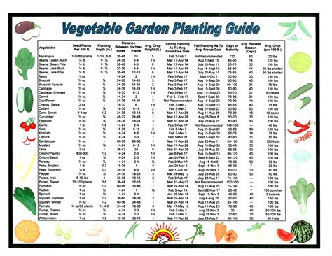 Garden Guide > HozTech Vegetable planting guide, Planting vegetables