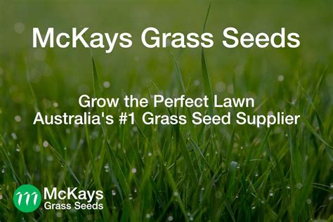 Garden Store - McKays Grass Seeds