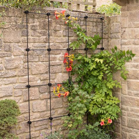 Garden Trellis by Harrod Horticultural