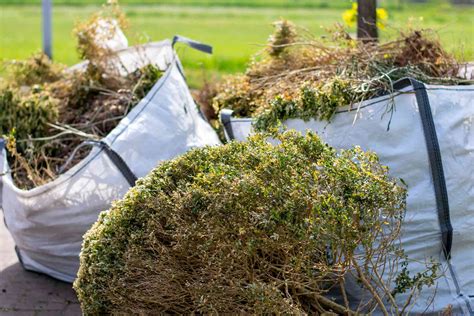 Garden Waste Removal Cost Guide 2024: How Much To Clear?