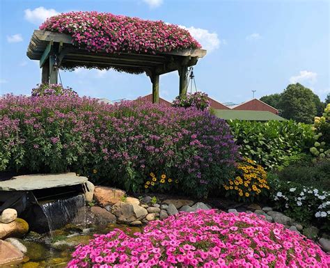 Garden crossings. Garden Crossings, launched in 2002, is a family-owned garden center, located two miles north of Zeeland, Michigan. They offer a broad variety of annuals, perennials, … 