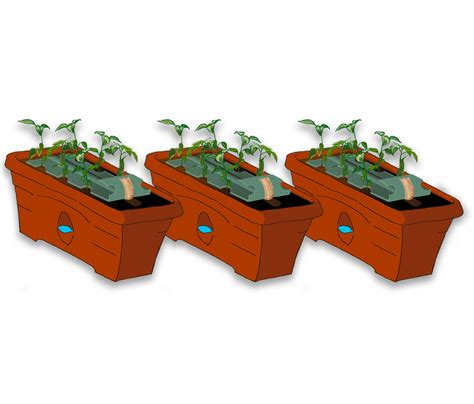 Garden patch grow box walmart. 3 &cent;/ea Organic Healthy Grow Rose and Flower Garden ...