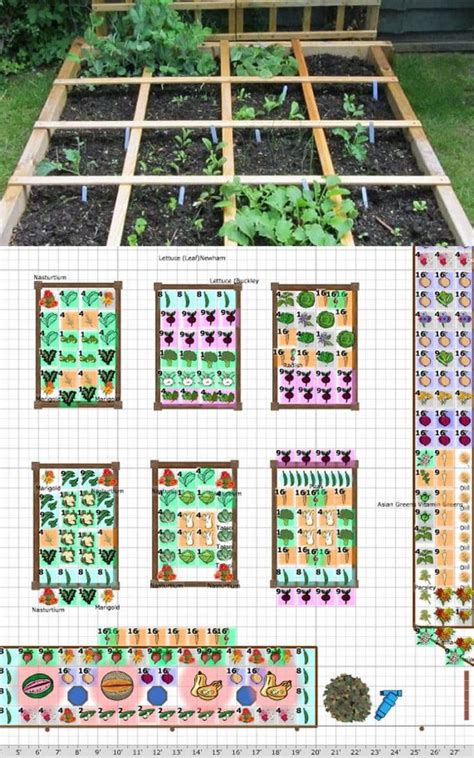 Garden planning kit vegetable garden planner the gardeners guide boxed. - Common core pacing guide 5th grade ca.