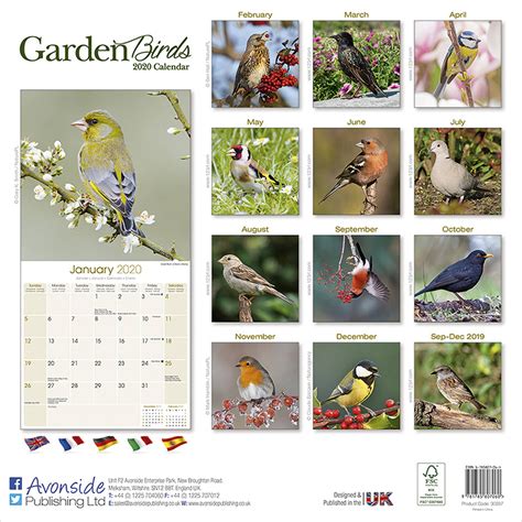Full Download Garden Birds 2020 Wall Calendar By Not A Book