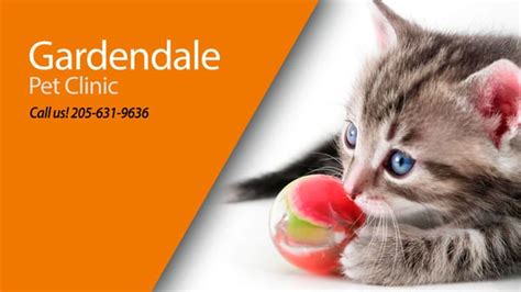 Gardendale Pet Clinic. Veterinarians Pet Services Pet Boardi