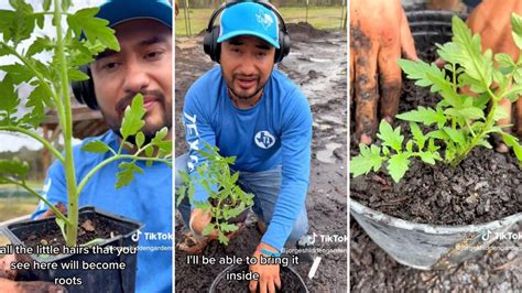 Gardener shares unusual hack for getting strong, ultra-healthy