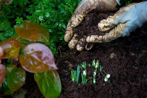 Gardening, Horticulture and Environmental Concerns