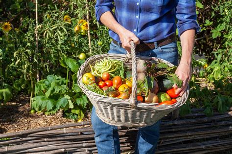 Gardening: How to preserve your late-summer harvest in Colorado