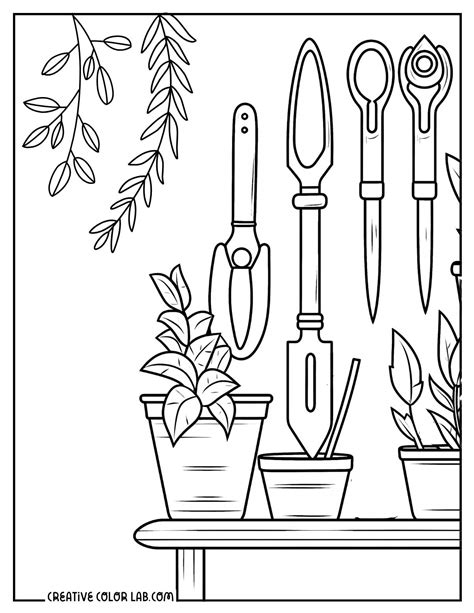 Realistic Cardinal Coloring Page