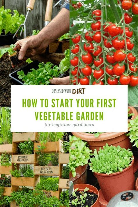 Gardening box set 9greenhouse gardening for beginners and the ultimate guide to vegetable gardening for beginners. - Honda gx390 13 hp shop manual.