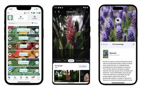 Gardening help in the palm of your hand: 5 apps, phone tips