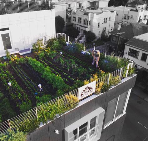 Gardening on the roof. Start a typical container garden in pots. Add vertical gardens, hanging baskets etc. to make the most of vertical space. Grow food hydroponically, in water rather than soil or growing media. And even potentially consider an aquaponics system, with fish as well as plants. When choosing a growing system for your roof garden, you need to … 