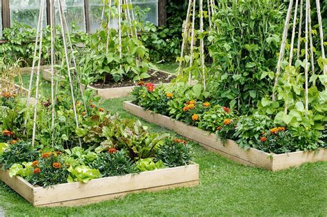 Gardening raised beds. Raised beds were meant as an alternative to the traditional vegetable patch and have only been popular choices in recent history, mainly in the ‘70s and ‘90s. But it’s … 