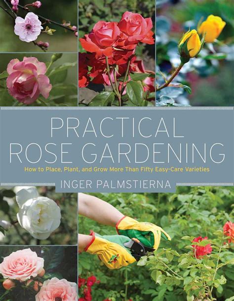 Gardening with roses a practical and inspirational guide. - Umass rising the university of massachusetts amherst at 150.