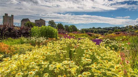 Gardens and Gardening of Candide - Eddusaver