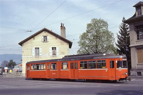 Gare de Chêne-Bourg - Chysis bractescens - Wikipedia