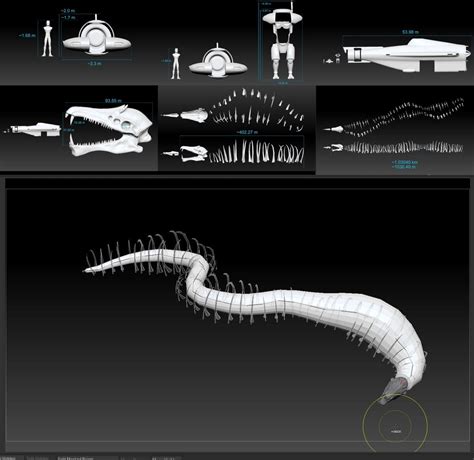 Aug 2, 2023 · The 39-million-year-old leviathan, called Perucetus, may have weighed about 200 tons, as much as a blue whale — by far the heaviest animal known, until now. While blue whales are sleek, fast ... . 
