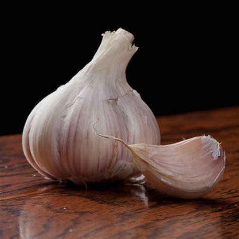 Garlic Music Hardneck – Harris Seeds