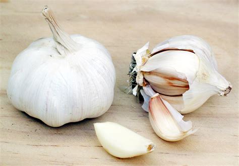 Sep 17, 2020 · Keep It Cool (But Not Cold) The most crucial factor for storing garlic is temperature. And the best temperature for storing garlic is one that's cool, but not cold, and definitely not warm. The ideal temperature is around 60 to 65 F. And if your kitchen naturally runs at that temperature, you're in good shape. 