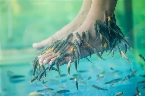One 30-Minute Garra Rufa Fish Pedicure for One or Two P