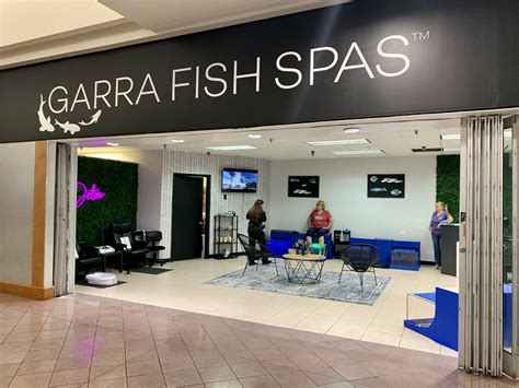 A fish spa, also known as a fish pedicur