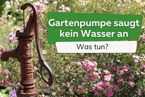 Gartenpumpe saugt kein Wasser mehr an: was tun? 7 Tipps