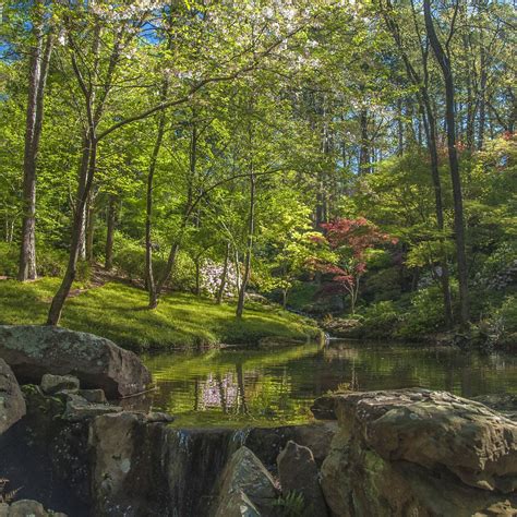 Garvan gardens hot springs. Parking at the Garvan Woodland Gardens is also free, which is particularly helpful as the only way to reach the gardens is by driving about 8 miles south from downtown Hot Springs. The gardens ... 