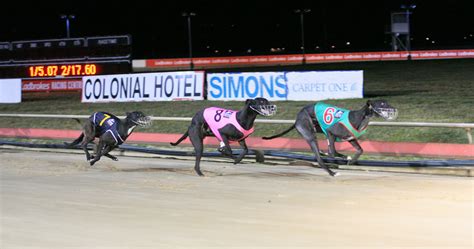 Gary Sutton Tasmanian... - Launceston Greyhound Racing Club