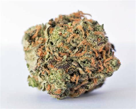 THC: 20% - 24%. GMO Cookies, also known as " Garlic Cookies ," is a heavily indica dominant hybrid strain (90% indica/10% sativa) created through crossing the potent Chemdawg X Girl Scout Cookies strains. Known for its super pungent aroma and heavily sedative high, GMO Cookies is a favorite of indica lovers everywhere.. 