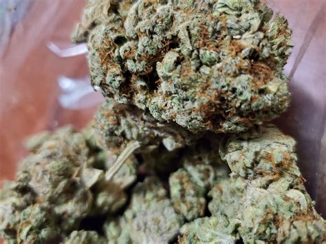 Gas og strain allbud. SFV OG, also known as "San Fernando Valley OG," "San Fernando Valley Kush," and "San Fernando Valley" is a sativa-dominant hybrid marijuana strain from Cali Connection that is great for patients ... 