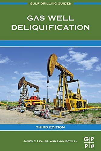 Gas well deliquification second edition gulf drilling guides. - Die definitive anleitung zu html5 websocket von vanessa wang.