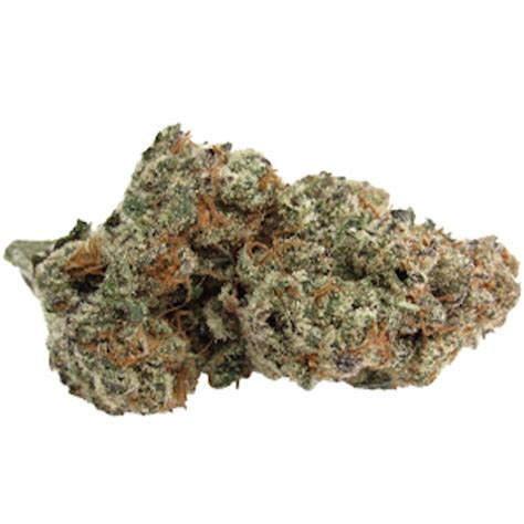 Cherry Springer is a mostly indica variety from Crockett and can be cultivated indoors (where the plants will need a flowering time of ±53 days) and outdoors. Crocketts Cherry Springer is a THC dominant variety and is/was never available as feminized seeds. Indica 60/40. Flower Cycle: 49-56 days. Yield: Heavy.. 