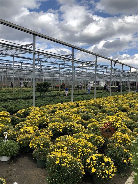  Gaskos Family Farm and Greenhouses 112 Federal Rd in Monroe Twp, NJ 08831 Tel: 732-446-9205 Hours: Mon - Sat 9am - 5pm Sun 9am - 3pm Cash and Checks Only. No Credit ... . 