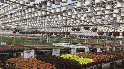The nursery is fully stocked with fresh inventory. Nursery. Trees and shrubs to decorate your yard. Evergreens and deciduous trees are available. An extensive selection of flowering and ornamental plants. ... Gaskos Family Farm and Greenhouses 112 Federal Rd in Monroe Twp, NJ 08831 Tel: 732-446-9205 Hours: Mon - Sat 9am - 5pm Sun 9am - 3pm
