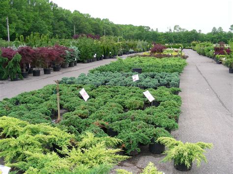 Hallock's U-Pick Farm & Greenhouse, New Egypt, New Jersey. 9,933 likes · 8,174 were here. Hallock's "U" Pick Farm is a family owned and operated business with almost 300 acres of fresh pick your own.... 