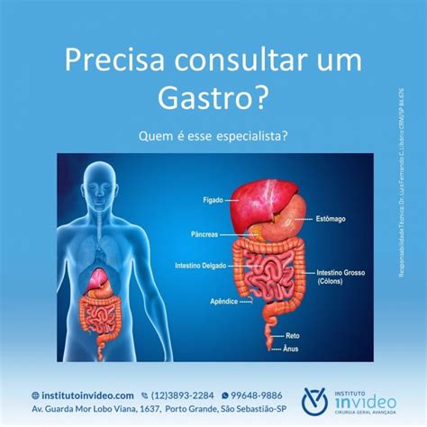 Gastro1. Things To Know About Gastro1. 