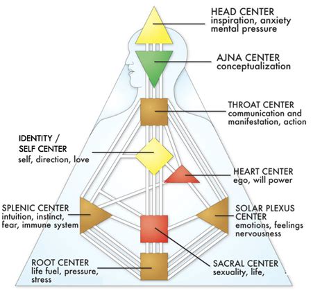 Gate 18 is in the Human Design Spleen Center. Gate of improving. Energy to see patterns that