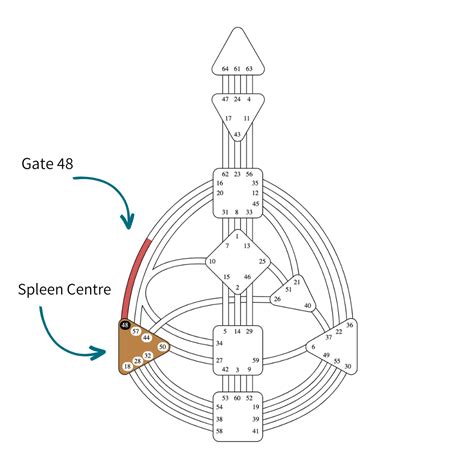 Gate 48 is in the Human Design Spleen Center. Energy to get to the depth of information. Study