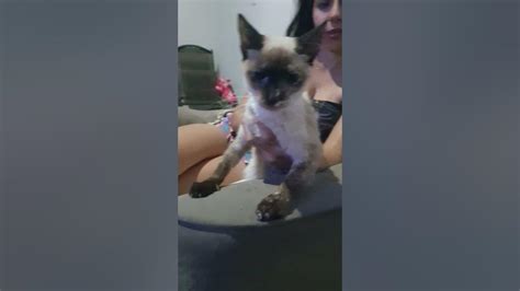 Gatinha Safadinha Leaks 🔥 XxX