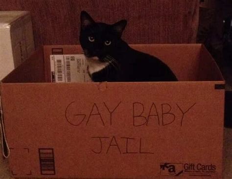Gay Baby Jail