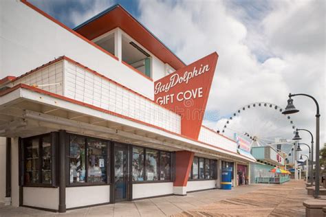 Gay Dolphin Gift Cove