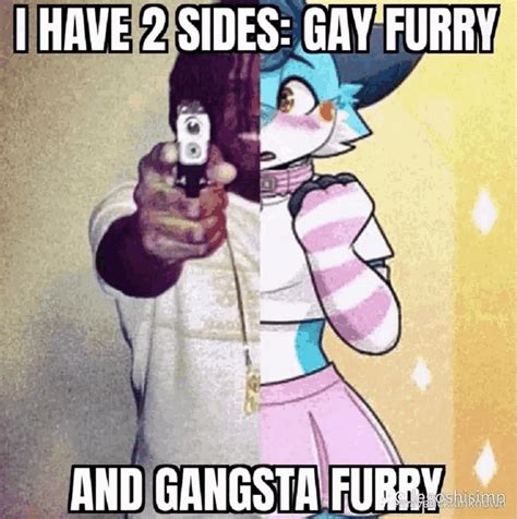 Gay Furry Gifs