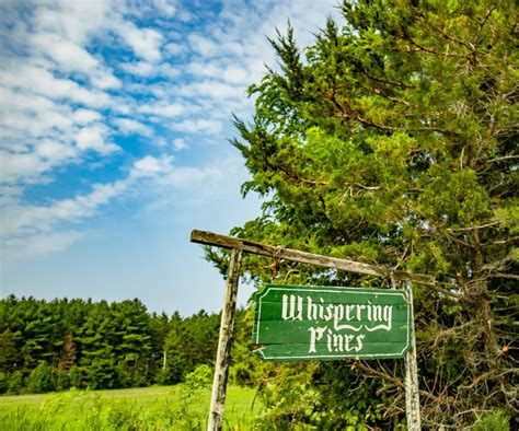 Gay Whispering Pines